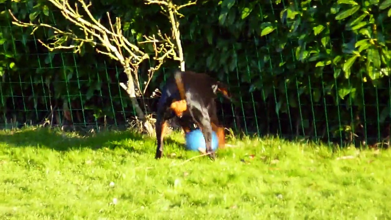 Kenzy et sa Boomer ball