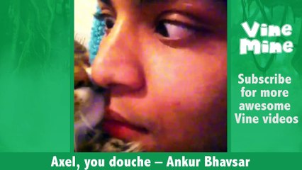 Feline Vines  Funny Cat Vines