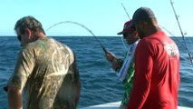 Bahia Sport Fishing - Pesca & Companhia