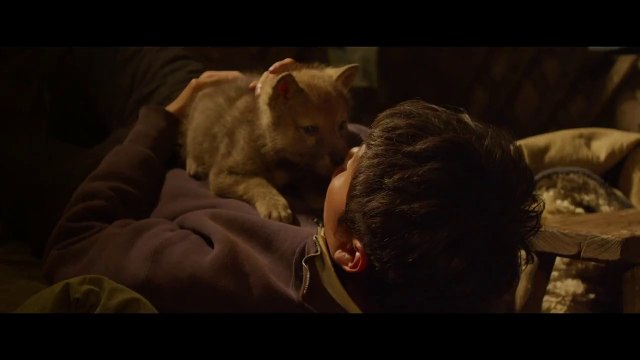 Le Dernier Loup, de Jean-Jacques Annaud - bande annonce 1 - VOST