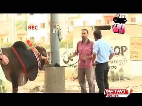 ZARA HUT KAY Cow funny pakistani Latest clips