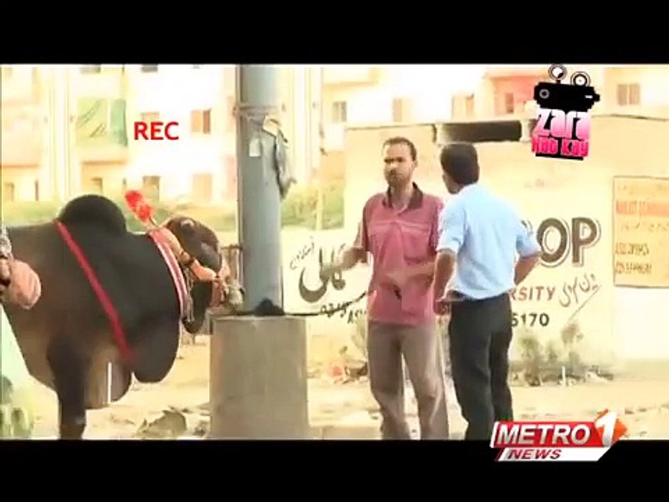 ZARA HUT KAY Cow funny pakistani Latest clips