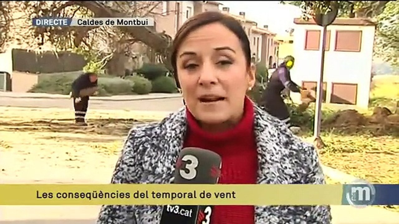 TV3 - Els Matins - Les conseqüències de les ventades