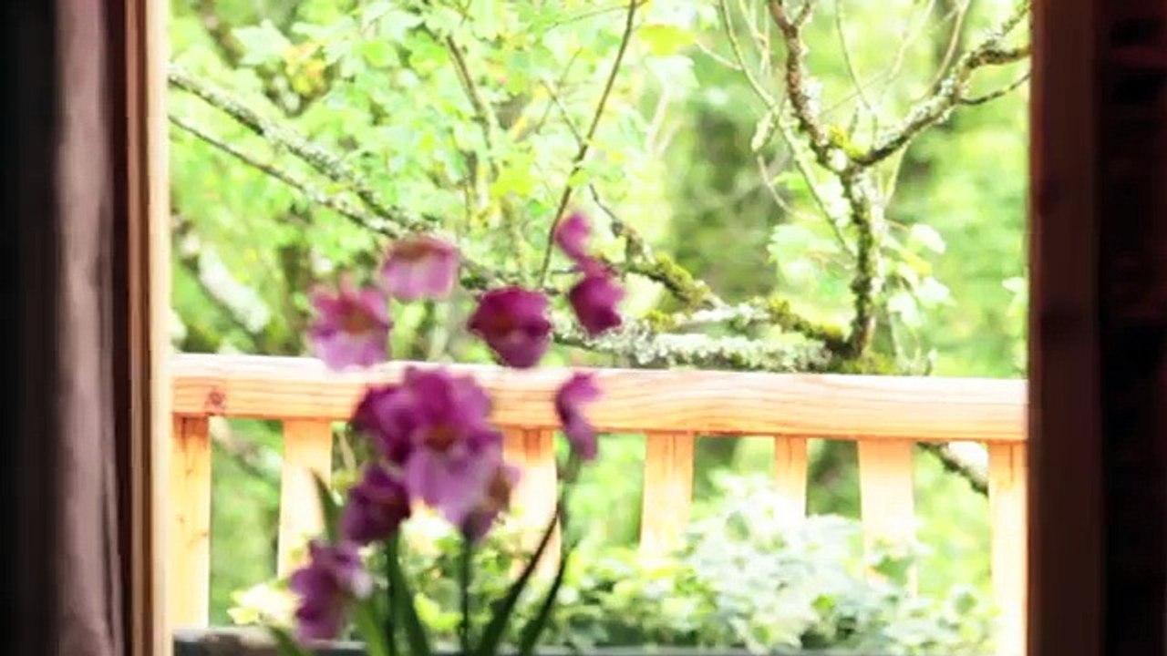 Chateaux dans les arbres-Cabane