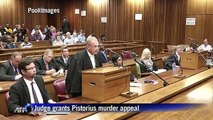 Judge grants application for Pistorius murder appeal