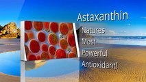 Astaxanthin: Natures Most Powerful Antioxidant! King of the Antioxidants, Benefits