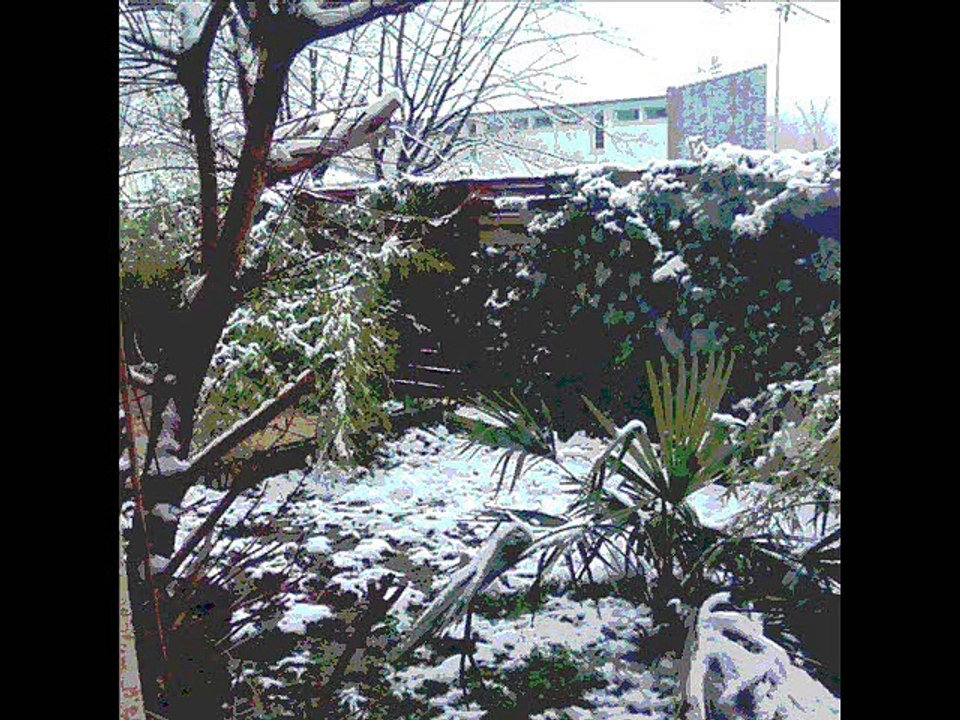 blue-Red Line -Vivi L