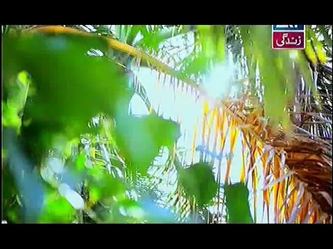 Behnein Aisi Bhi Hoti Hain Episode 137 Full on Ary Zindagi 10th December 2014