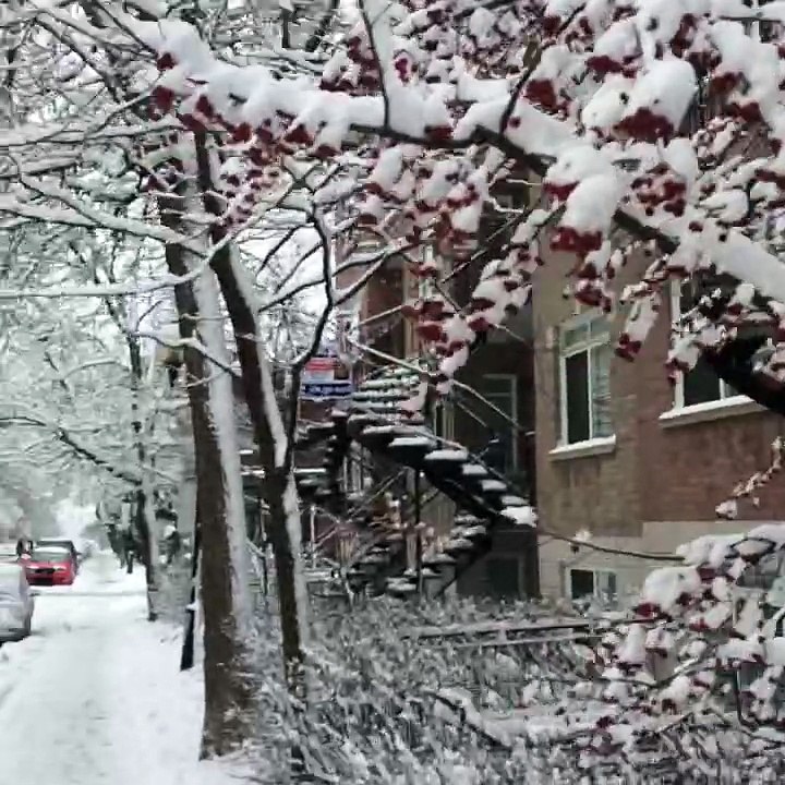Av des ebles