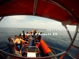 Nager avec les Dauphins 25 juillet 2014 - Bateau Annett III à Cannes – Mandelieu en France