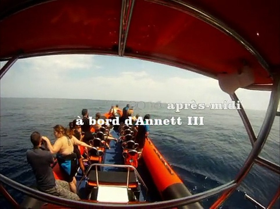 Nager avec les Dauphins 25 juillet 2014 - Bateau Annett III à Cannes – Mandelieu en France
