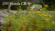 2015 Honda CR-V Performance Houston Pearland TX