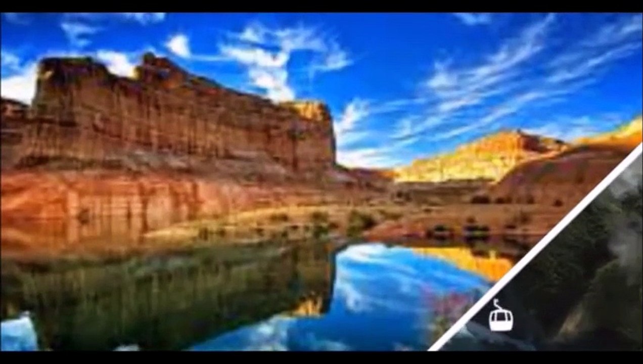 Нильский крокодил.