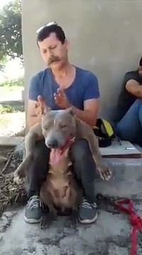 Mon chien adore les massages