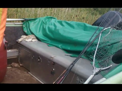 Рыбалка и Охота .Фильм полностью. Удачный день.