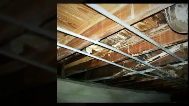 The Home Inspectors Dayton Ohio Show Home Inspection Horrors