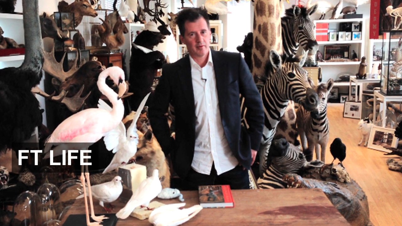 How to stuff an animal
