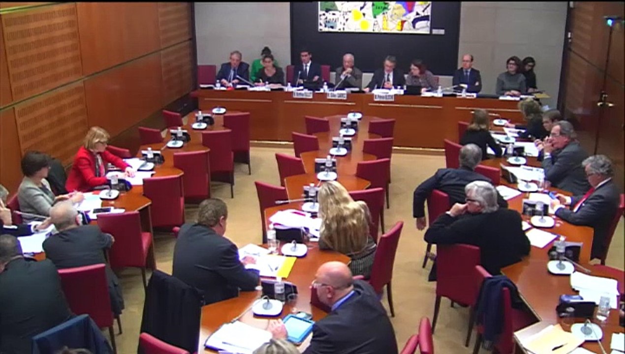 Intervention de Franck Riester lors de l'audition de Mathieu Gallet, PDG de Radio France, à l'Assemblée nationale le 10 décembre 2014