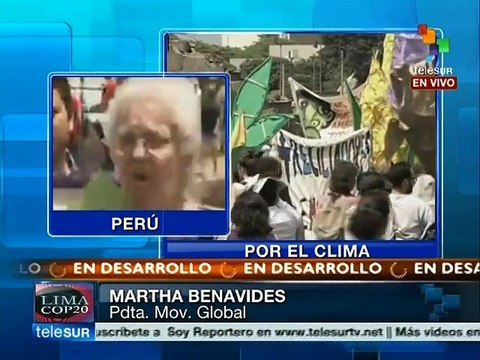 Ambientalistas piden a la COP20 acciones contra el cambio climático