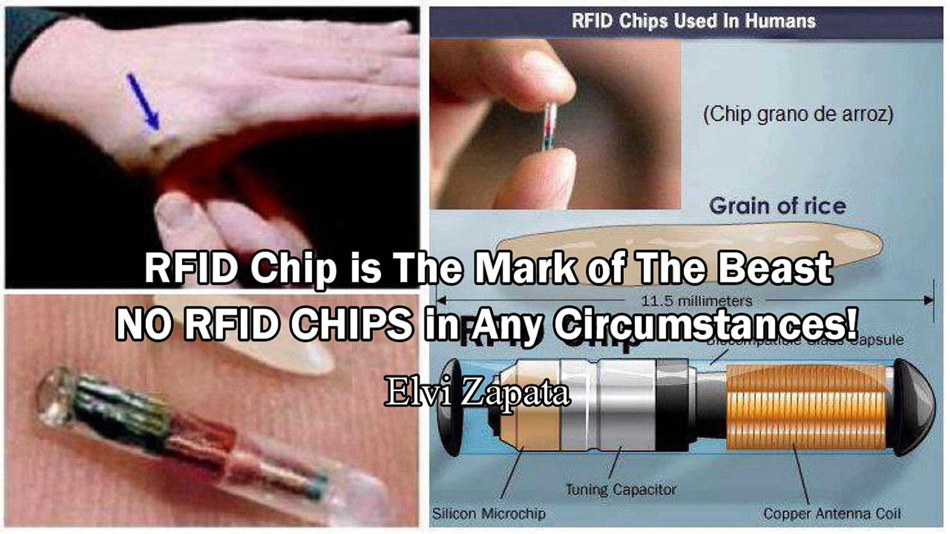 RFID Chip is the Mark of the Beast! NO RFID CHIPS in Any Circumstances! -  Elvi Zapata - video Dailymotion