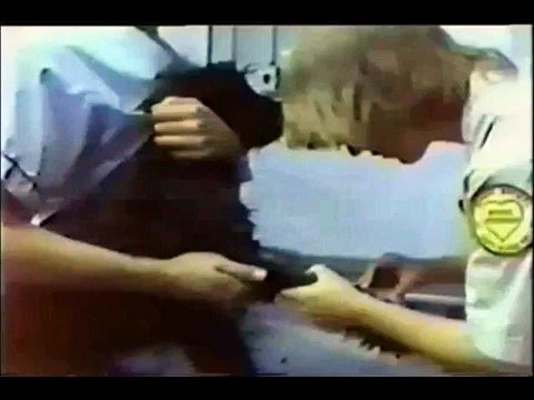 Non aux Abandons .. Les Refuges Animal Shelters ..