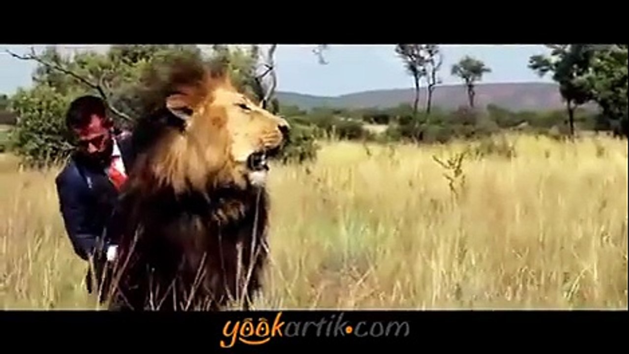 Evinde aslanı yetiştiren adam ve aslan