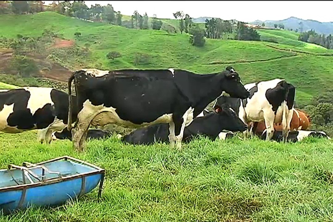 9 de diciembre de 2014 Conservación de la leche