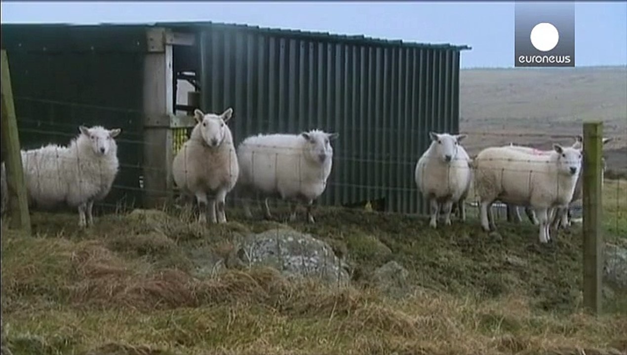 Stürmböen an den Westküsten, Monsterwellen auf dem Atlantik