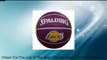 NBA Los Angeles Lakers Mini Basketball Review