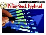 Penny Stock Egghead Picks + GET SPECIAL DISCOUNT + BONUS