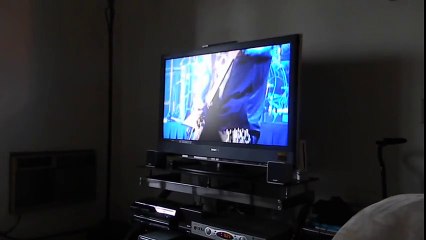 Funny video: Just A Cat Chilling To Slayer