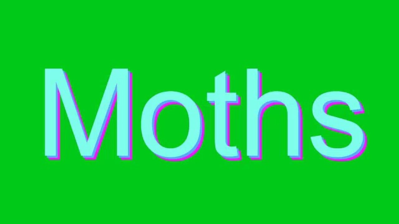 How to Pronounce Moths