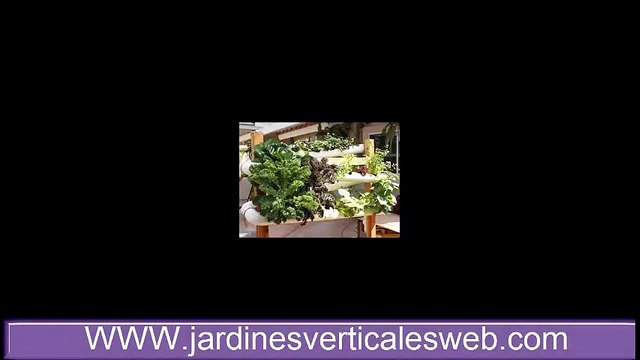 Diseños de jardines verticales caseros de interior y exterior de casas