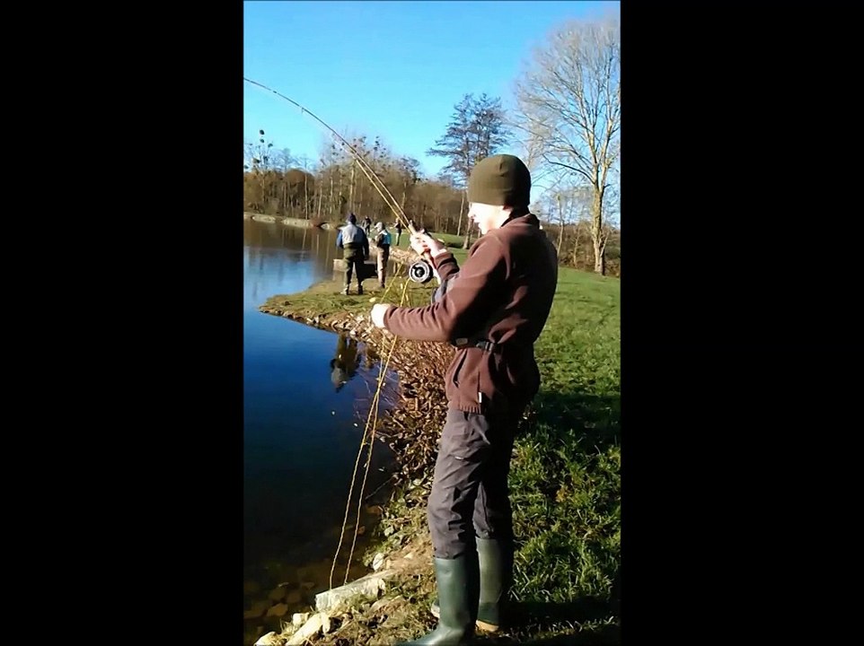 VITRE MOUCHE