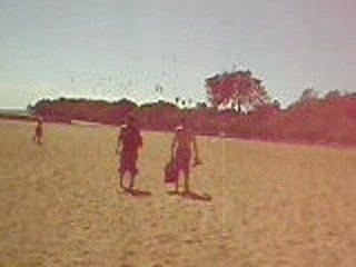 un caribou chassant les mouettes