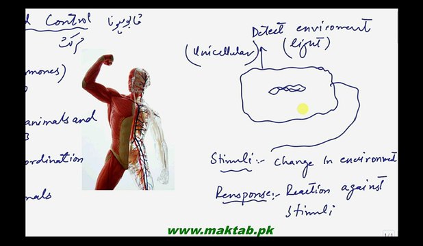 FSc Biology Book2, CH 17, LEC 1, Introduction and Coordination in plants