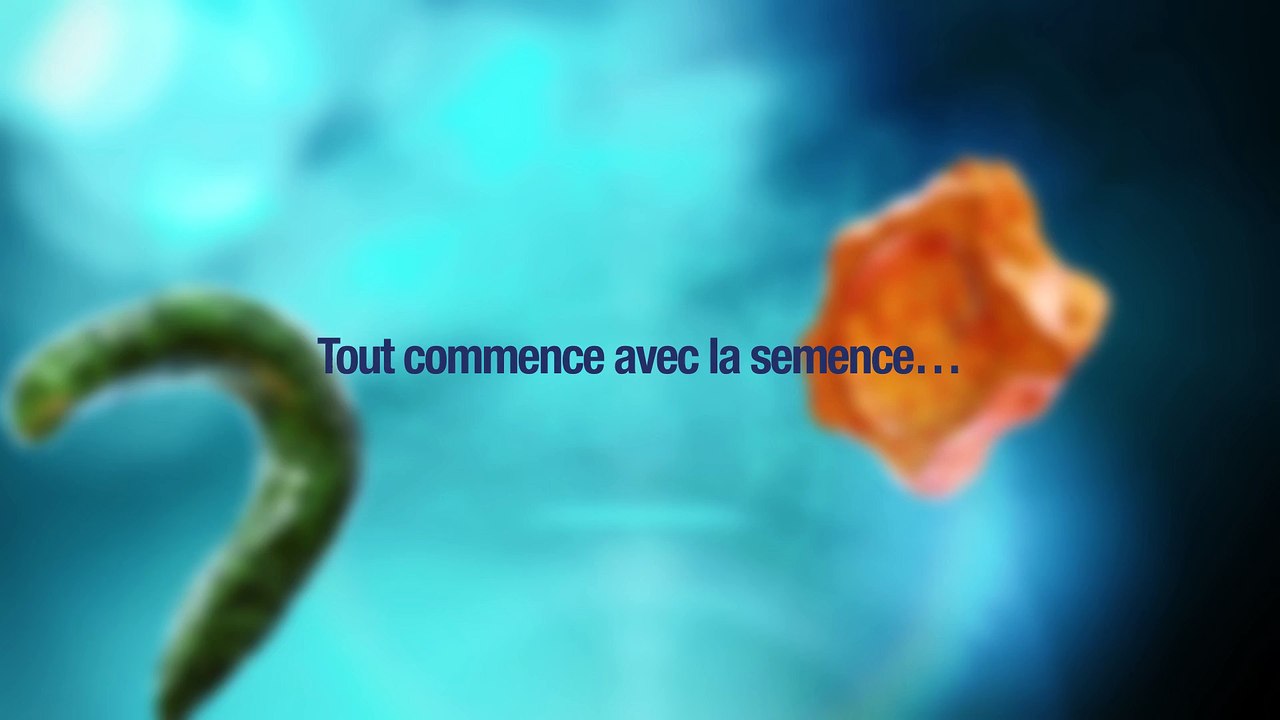 Carte de voeux 2015 - AKER