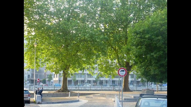 VERONIQUE LAURENT : Toujours la même (L'An Vert, Liège, 2012)