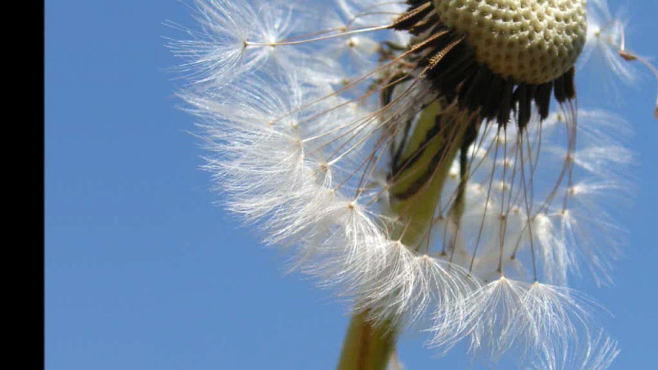 Meditation relaxation 3