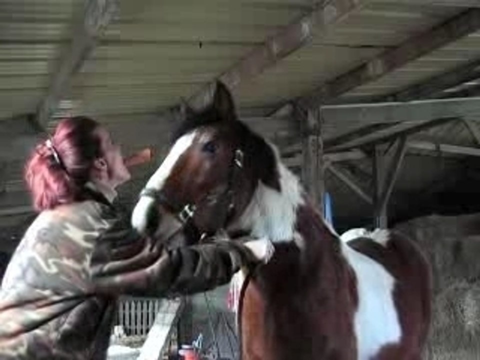Défi CAROTTE KID