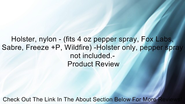 Holster, nylon - (fits 4 oz pepper spray, Fox Labs, Sabre, Freeze +P, Wildfire) -Holster only, pepper spray not included.- Review