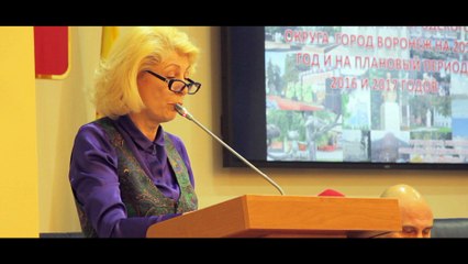 Слушания по проекту бюджета Воронежа на 2015 год