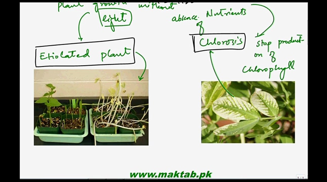 FSc Biology Book2, CH 17, LEC 2, Responses against environmental stress, Defenses against pathogens and Biological Clock