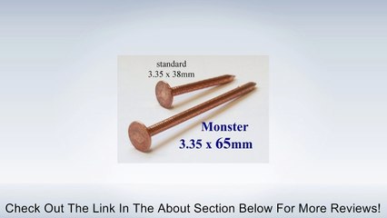 Copper Tree Stump Killer - 30x V.large 65mm Copper Nails Review