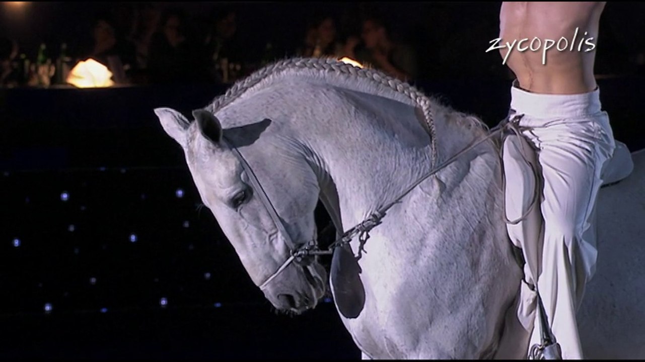 Nuit du Cheval 2014 - live