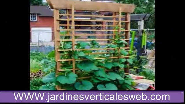Los mejores diseños de jardines verticales vegetables