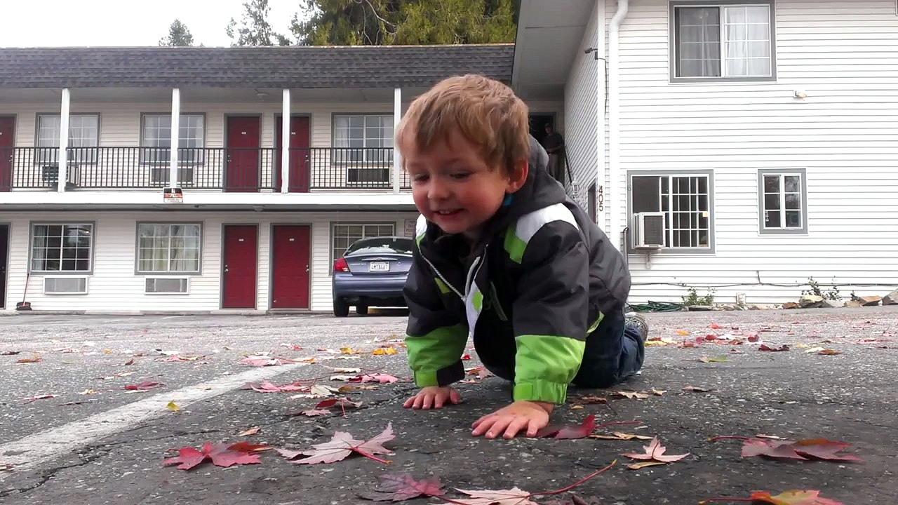 A 2 ans, il danse le dubstep de façon impressionnante !
