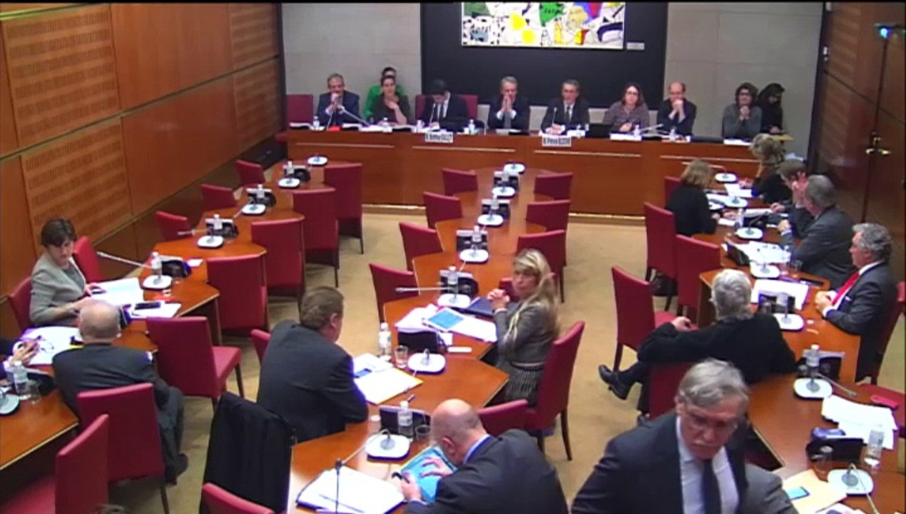 Audition de Mathieu Gallet - Régis Juanico, député PS de la Loire