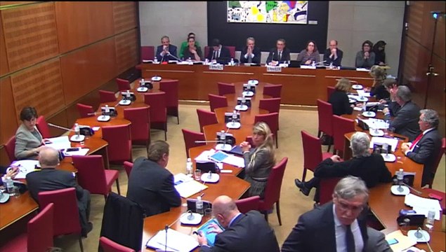 Audition de Mathieu Gallet - Régis Juanico, député PS de la Loire