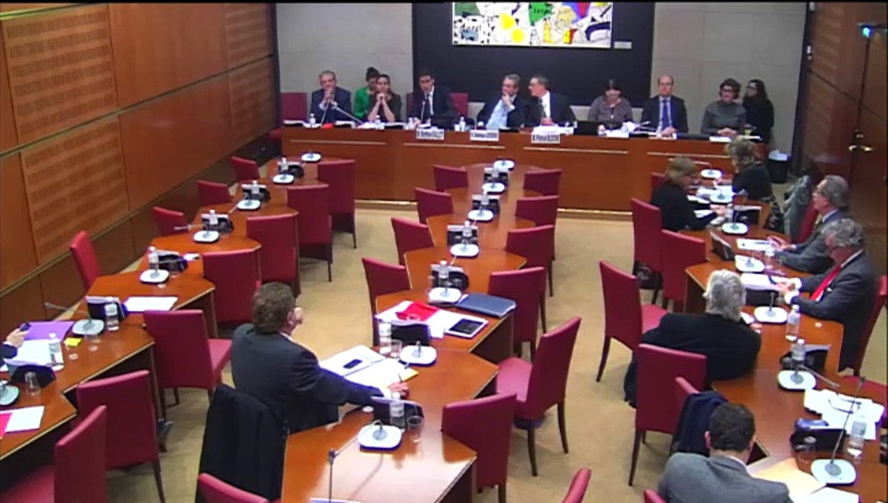 Audition de Mathieu Gallet, PDG de Radio France, devant la Commission des Affaires culturelles de l'Assemblée nationale